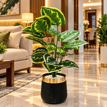 Calathea Artificial Plant